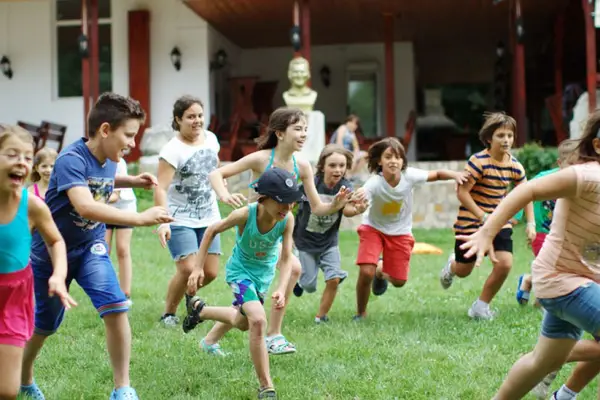 Activitate Afara