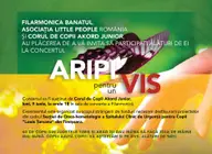 Aripi pentru un vis