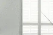 Lipoplast