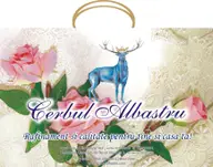Cerbul Albastru - Galeria 1