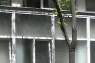 Directia de Sanatate Publica Timis