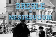 Ziua breslelor si mestesugurilor