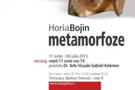 Expozitie de sculptura Horia Bojin - Metamorfoze