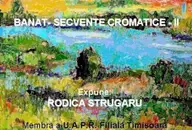 Expozitie de pictura "Banat - Secvente cromatice II" Rodica Strugaru