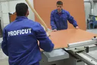 Proficut