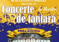 Concerte de fanfara