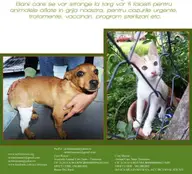 Targ cu vanzare de obiecte donate pentru animalele fara stapan