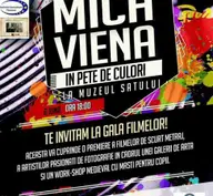 Mica Viena in pete de culori