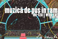 Muzica de pus in rama