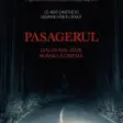 Pasagerul