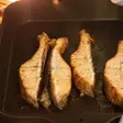 De ce să alegi un cuptor PUJADAS pentru bucătăria ta profesională: avantaje pe care nu le poți ignora