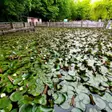 Băi termale aproape de Timișoara. Unde te duci și pentru ce te ajută