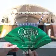 Peste 12.000 de spectatori au transformat Parcul Rozelor în scena emoției la ediția a XXI-a a Festivalului de Operă și Operetă