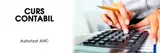 Curs Contabil in Timisoara