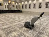 Spalat mocheta in Timisoara cu monodisc