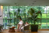 Angajare receptioner SPA