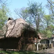 Muzeul satului