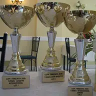 Cupa Timisoara la Sah 2008