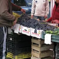 Targul Toamnei 2008