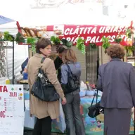Crizantema de aur si Buchet de Mireasa