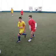 Cupa Arena Viola 12 2008