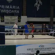 Gala de Box Timisoara 2008