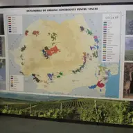 VinVest 2009