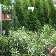 Expo Flora 2009