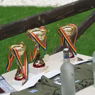 Cupa Arsenal Park la table 2009