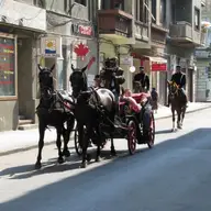 Sarbatoarea Strazii Eugeniu de Savoya