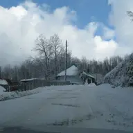Iarna