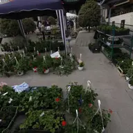 Targul Expo Flora Iulius Mall 2010