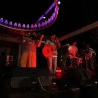 Concert Mihai Margineanu