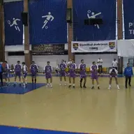 Universitatea Timisoara 31-25 Satu Mare - etapa 1
