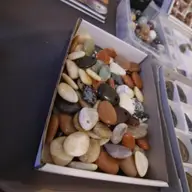 Expozitie de minerale si bijuterii la Opera Romana