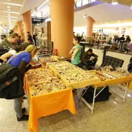 Targ de Antichitati la Iulius Mall 25-27 03 2011