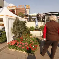 Targul de flori Floris la Iulius Mall 15-17 04 2011