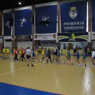 Universitatea Timisoara - Viitorul Medias