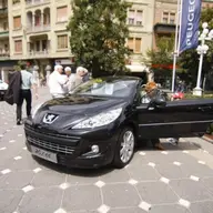 Zilele Leului 2011 in Timisoara