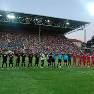 Steaua Bucuresti - TSKA Sofia 2011
