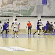 Handbal Masculin Politehnica Timisoara - Bucovina Suceava