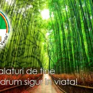 Colegiul Casa Verde
