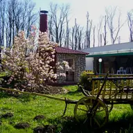 Camping International