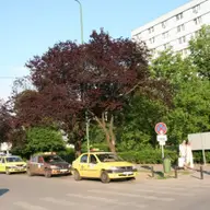 Statie taxi - Spitalul Judetean