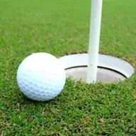 Cupa Perenna la golf - 02 iunie 2012