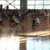SCM Universitatea Pitesti 31-28 CS Timisoara