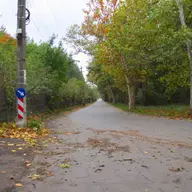 Aleea Padurea Verde