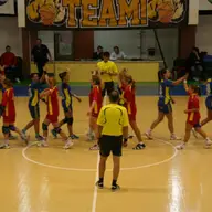 CS Timisoara 24-35 CSM Slatina