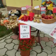 Targ de toamna la Gradinita Minissa