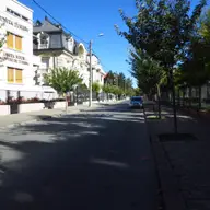 Strada Academician Alexandru Borza